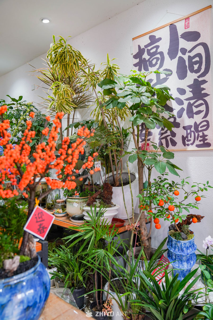 新春花店里的美好 24