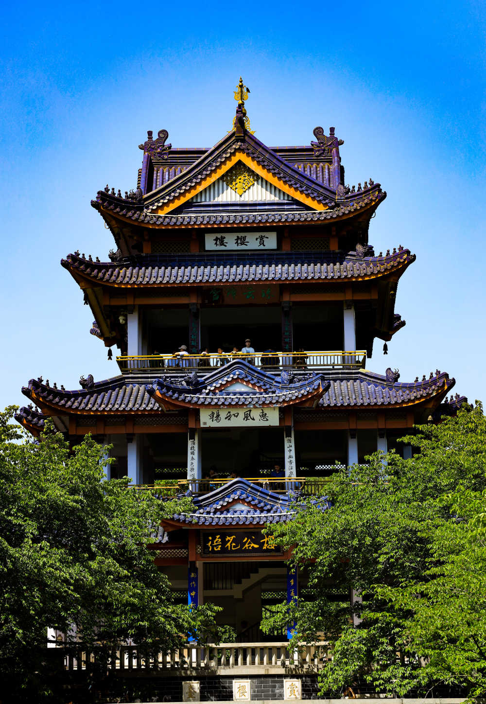 楼阁