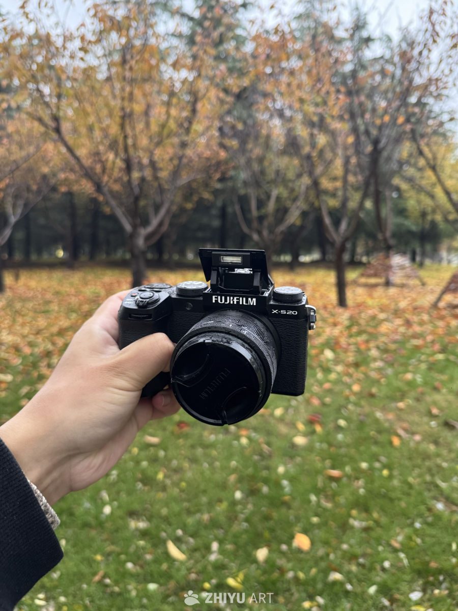 秋日手持富士相机