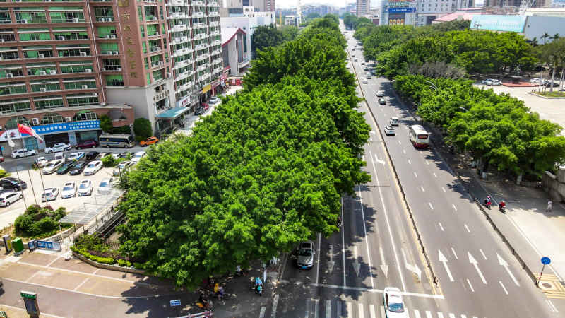 福建泉州城市风光航拍图 
