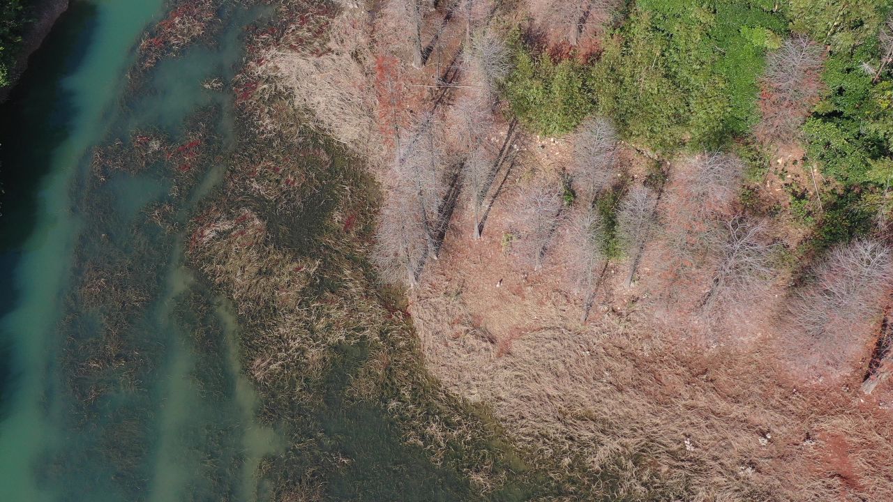 秋季森林 7