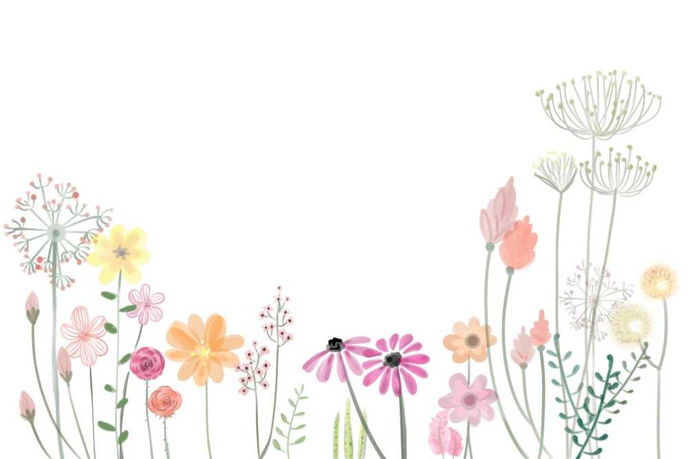 花花瓣春花的图稿蜡笔夏天图装修开花盛开多彩光明粉红色