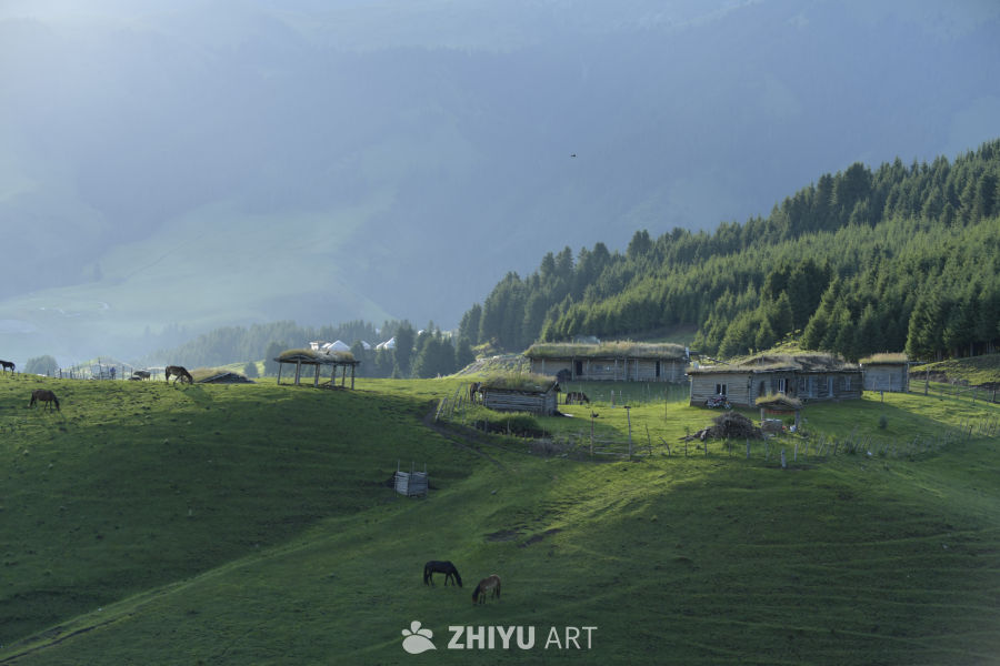 山间牧场