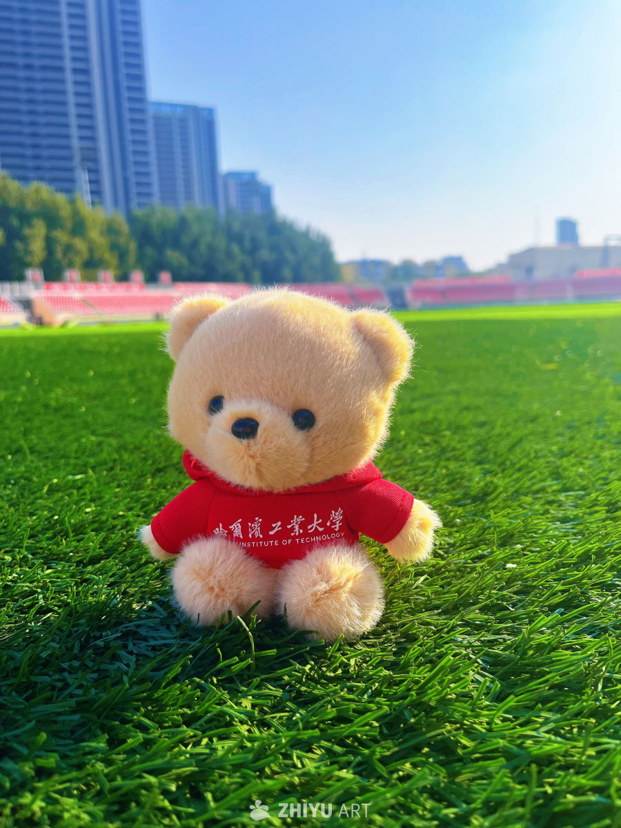 哈工大泰迪熊在绿茵场上