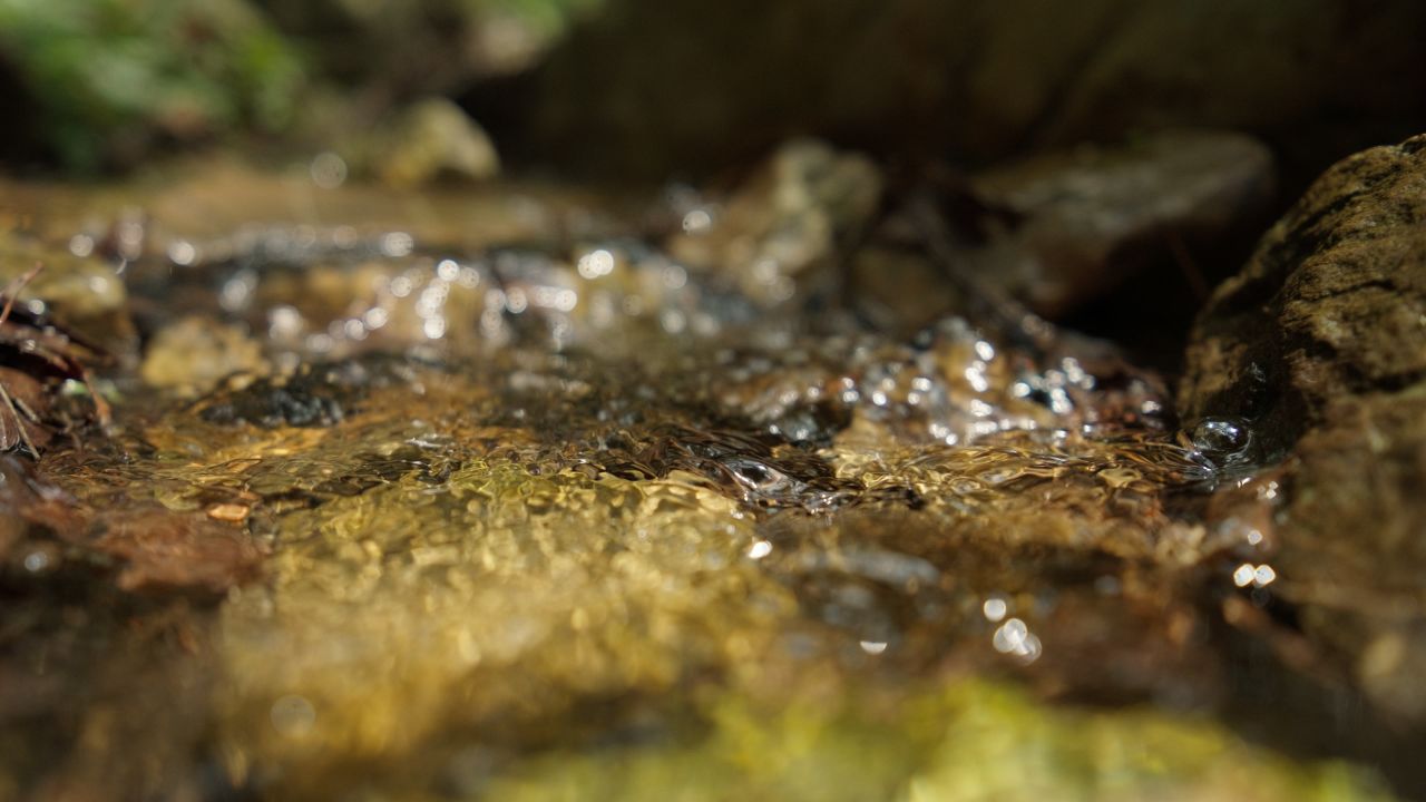 清澈山泉水温泉矿泉水小溪山涧 15