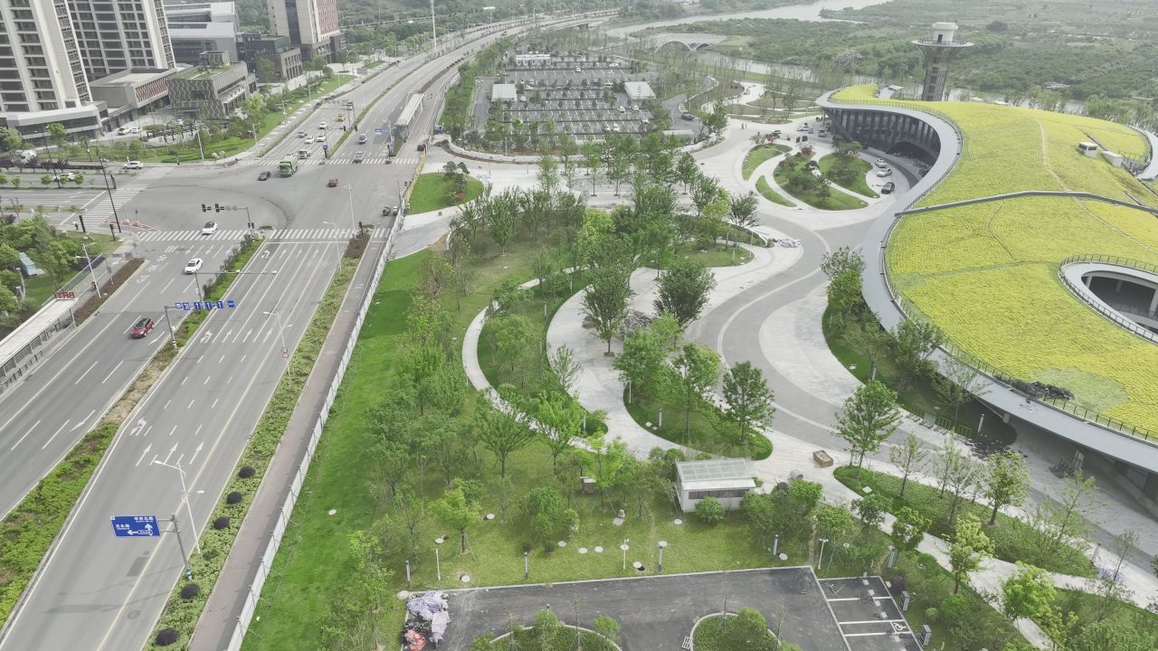 温州三垟湿地东入口航拍景观 6