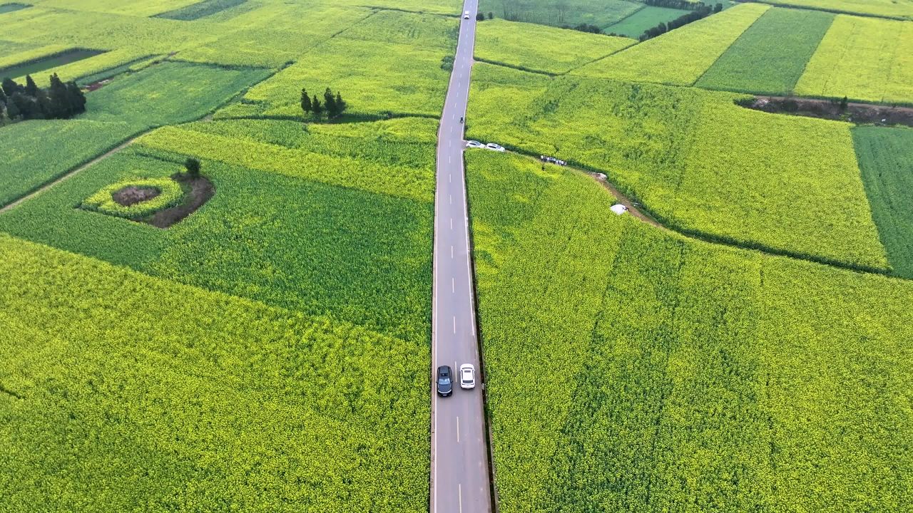 4k航拍油菜花田乡村公路