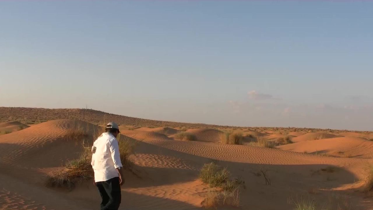 撒哈拉沙漠沙丘砂男子