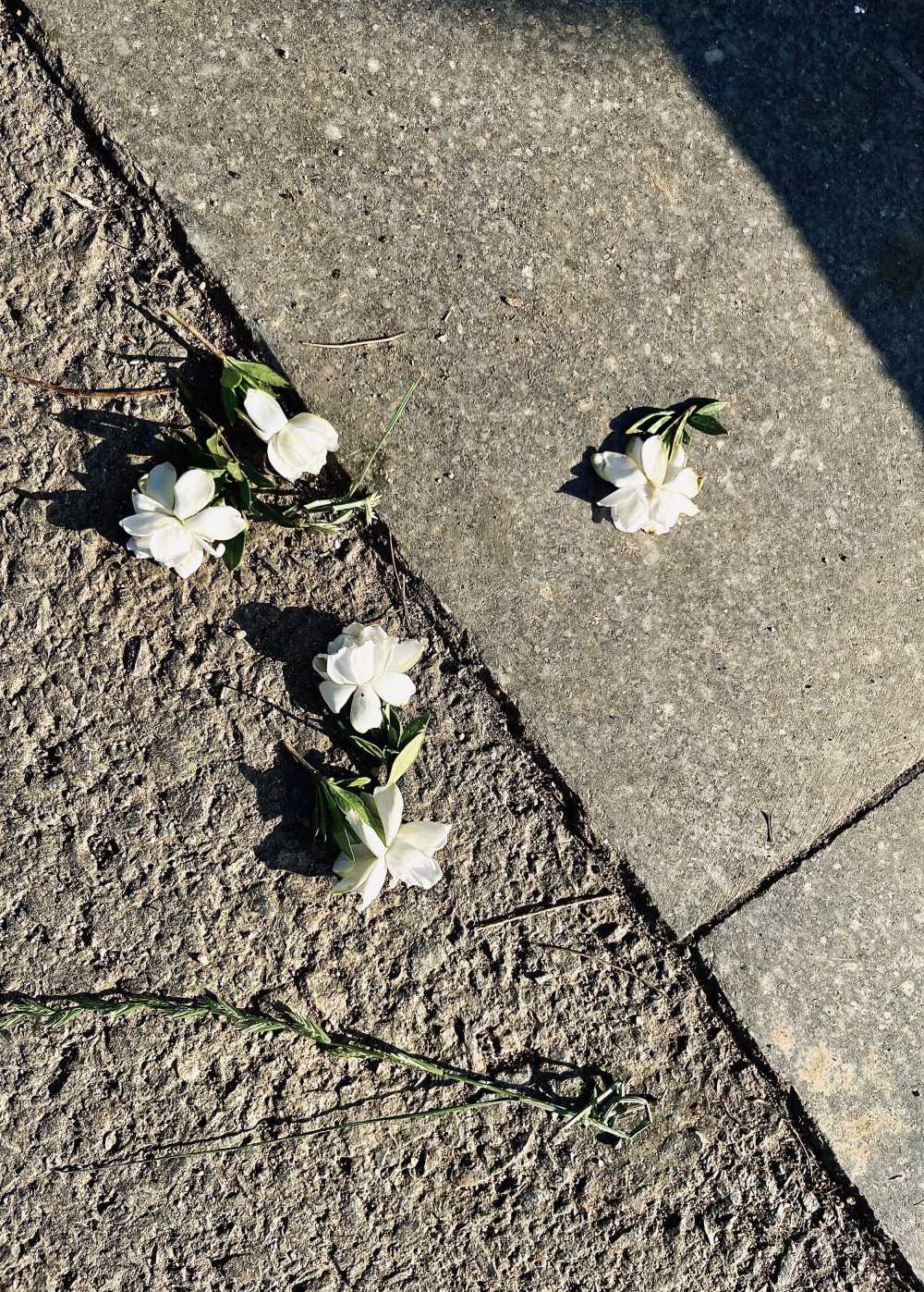花