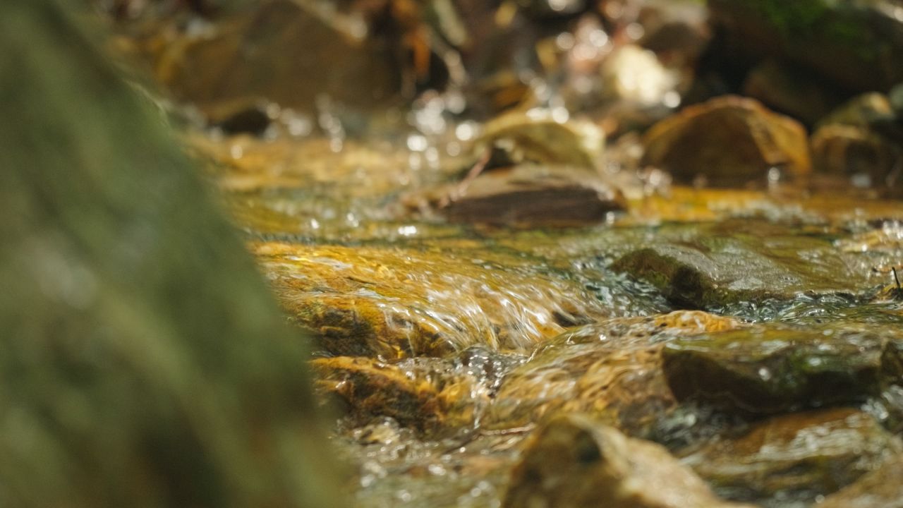 清澈山泉水温泉矿泉水小溪山涧 20