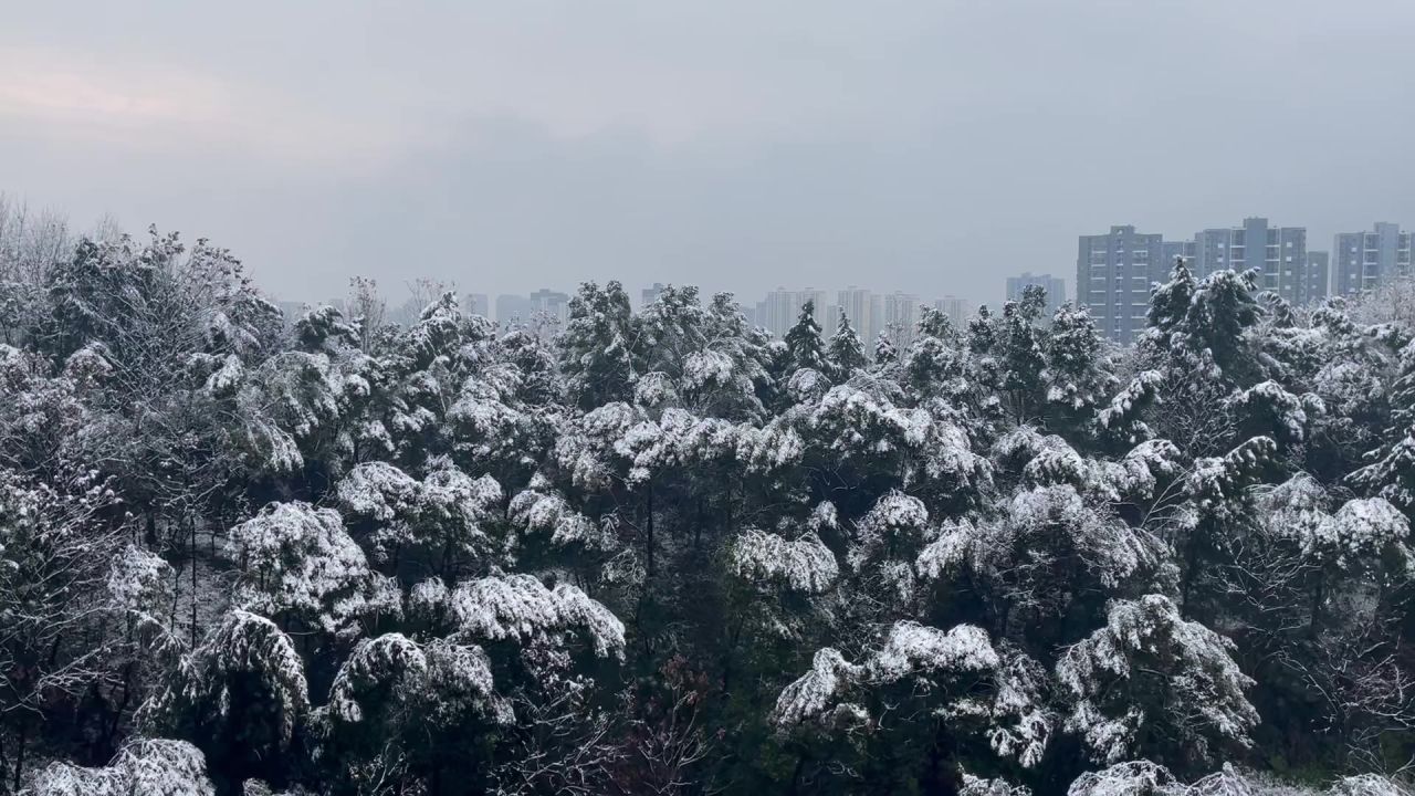 大雪