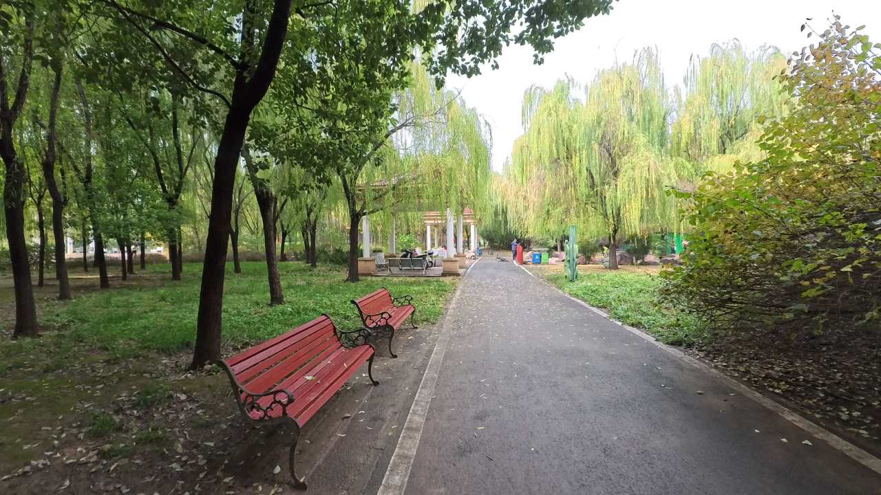 影石Insta360 GO Ultra 4K实拍视频样片 1