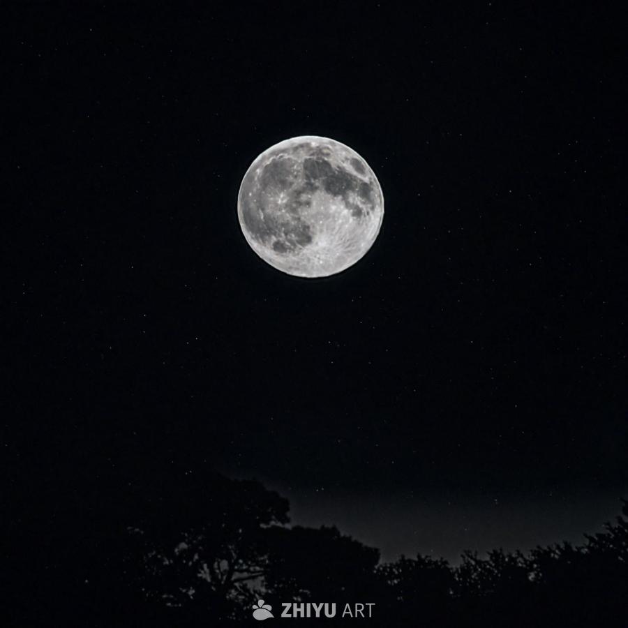 画面中央是一轮皎洁的满月，照亮了漆黑的夜空。夜空中