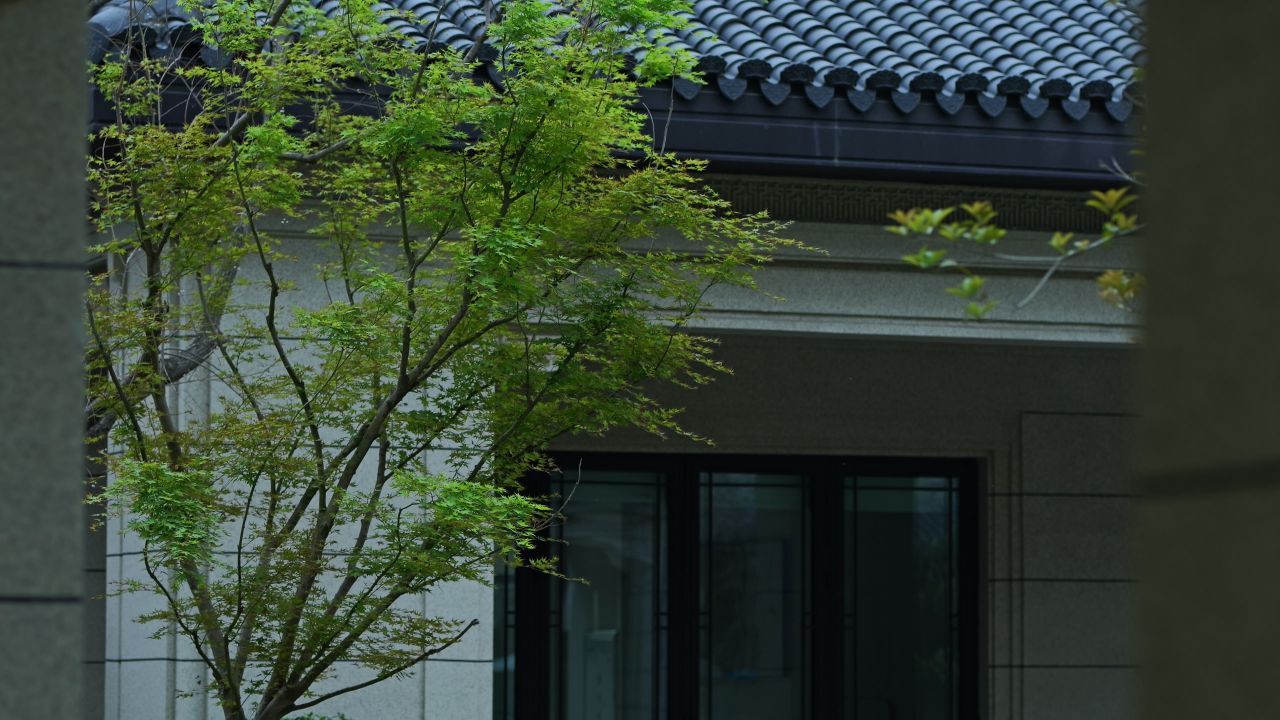 中式建筑空镜头 24