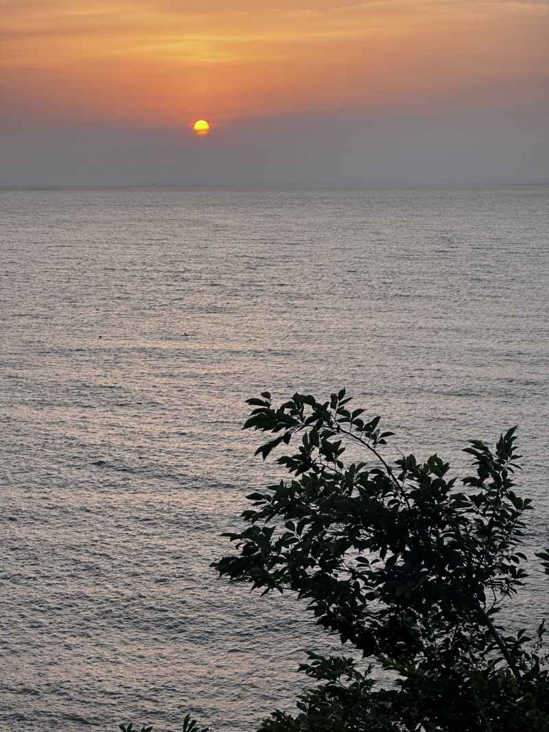 日出之海