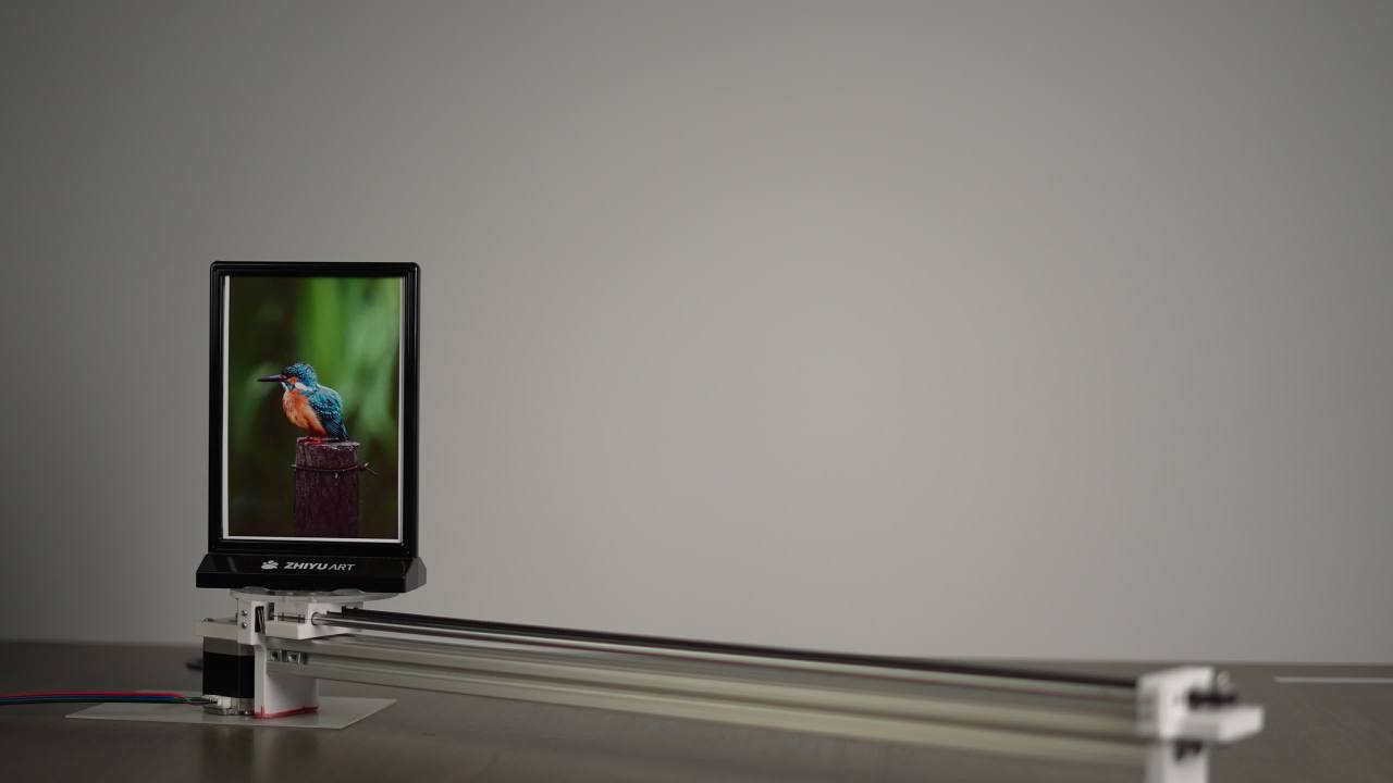 【实验室原片】索尼FX3-自动对焦测试-动态-鸟