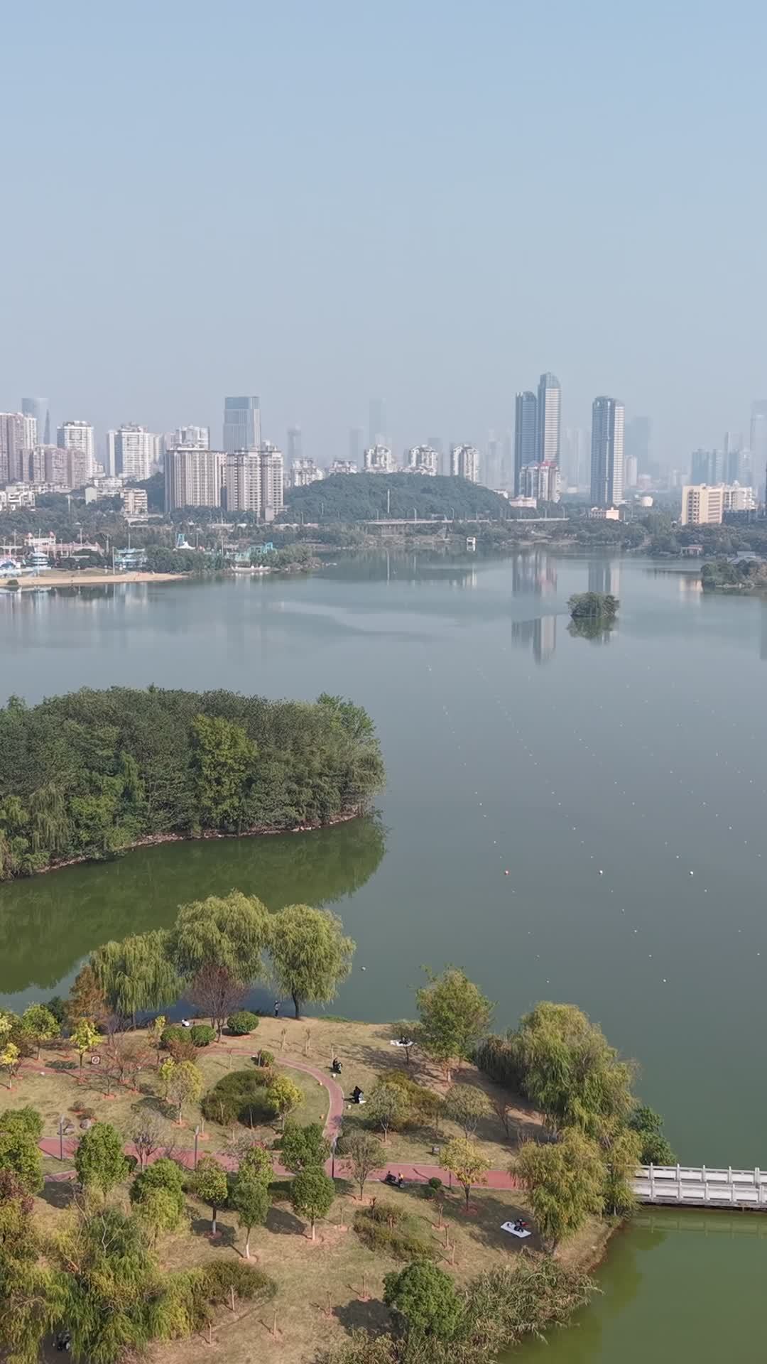湖畔城市风光