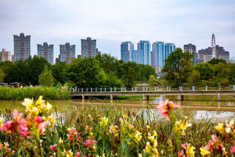 江边美景 4