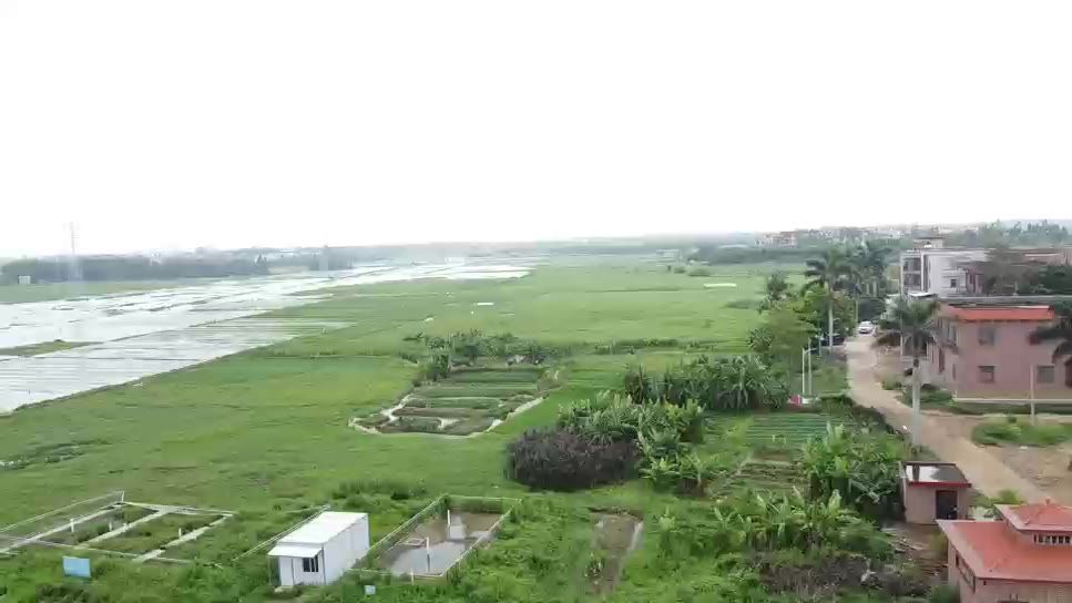 风景