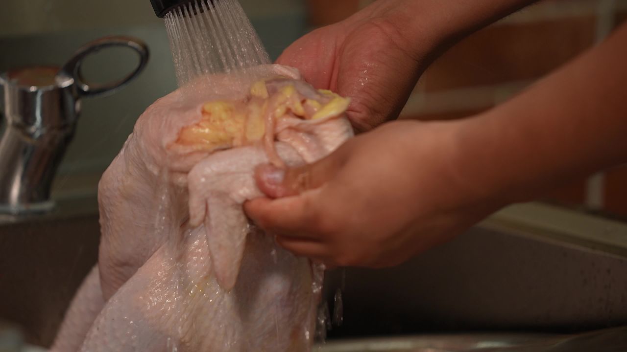 炖鸡