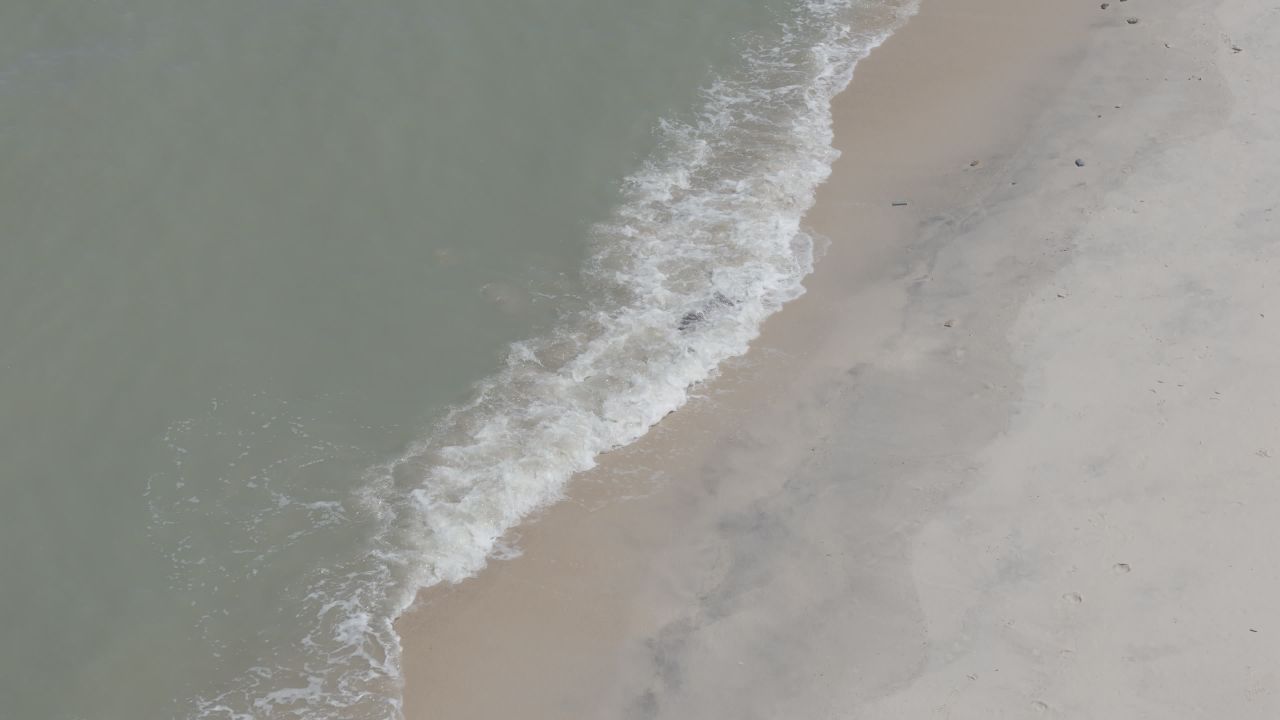 海滩上的鳄鱼与海浪