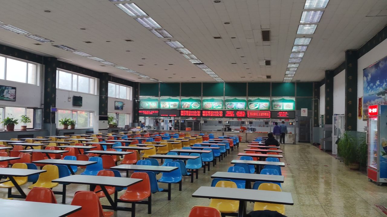 大学 保定 11