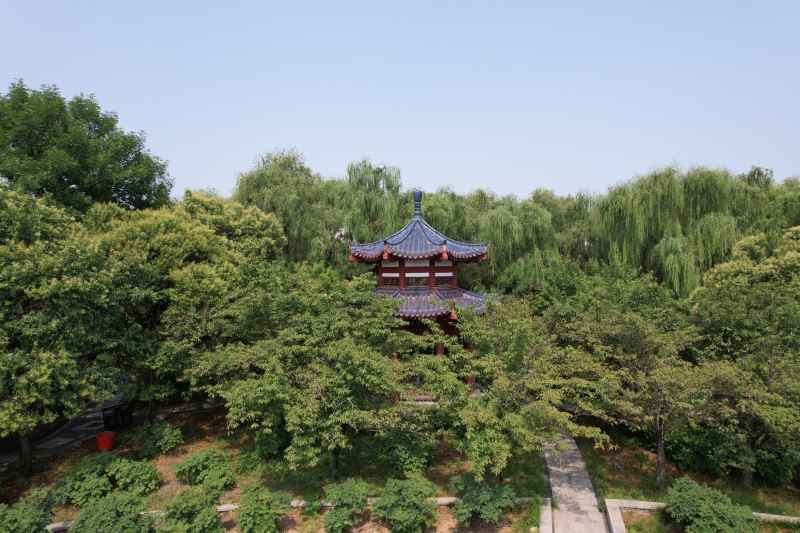 航拍洛阳-洛阳市隋唐城遗址植物园