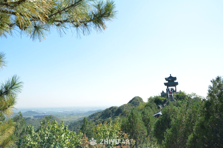山顶风光