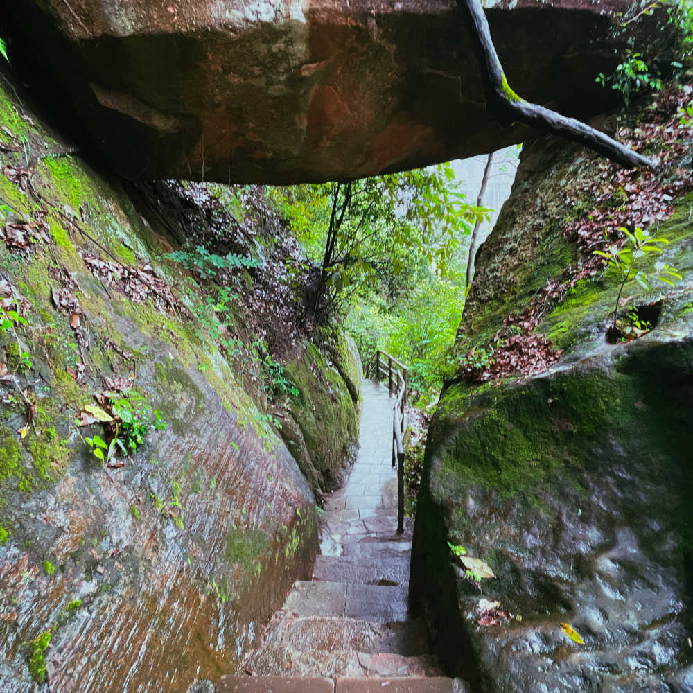 下山的小路