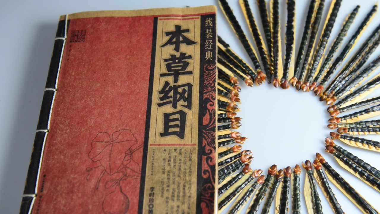 蜈蚣中药材 22