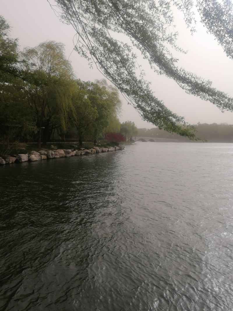 风——过水千层浪，入林万枝斜
