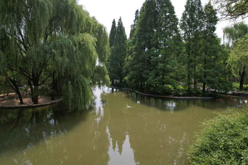 航拍洛阳-洛阳市隋唐城遗址植物园