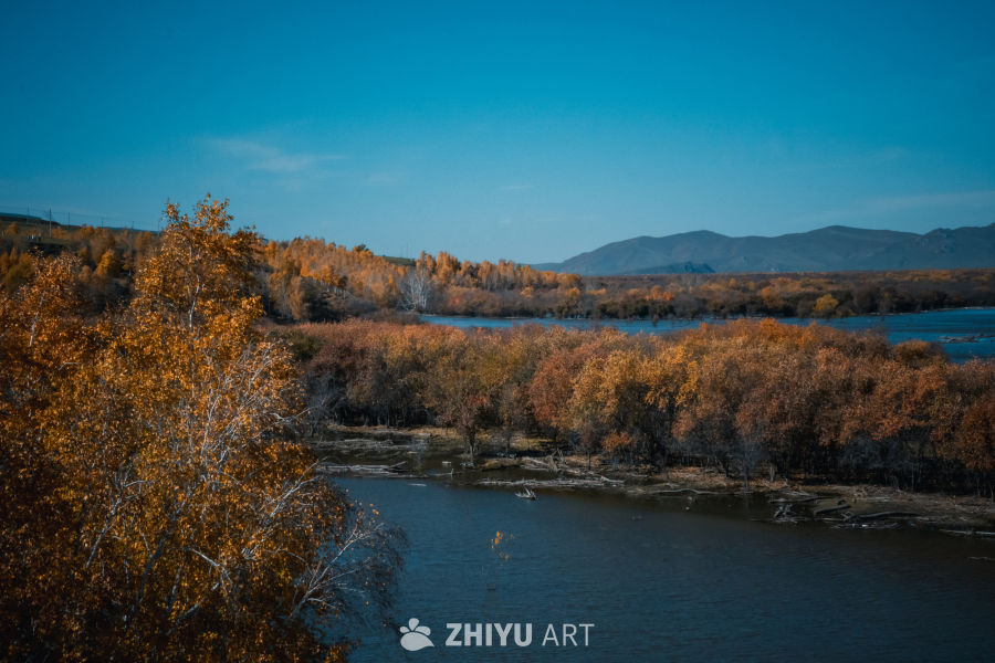 秋日湖畔金黄景