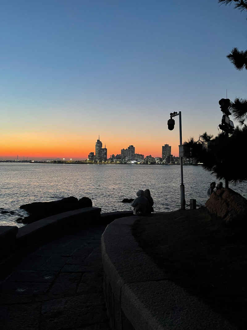 青岛小青岛公园海边城市夜景傍晚蓝调时刻