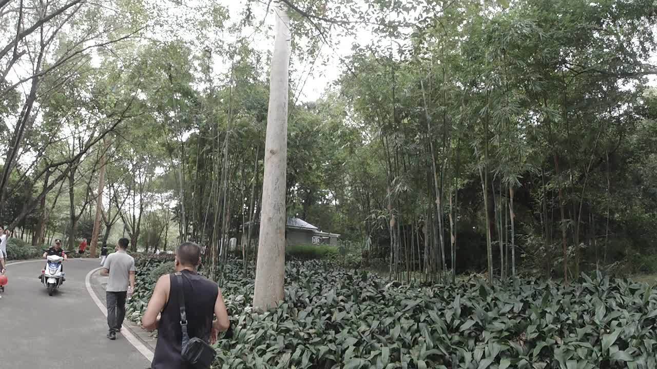 公园 15