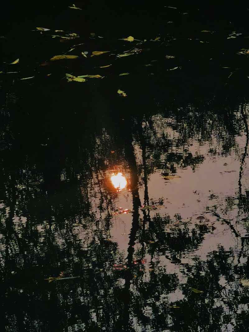 水中日