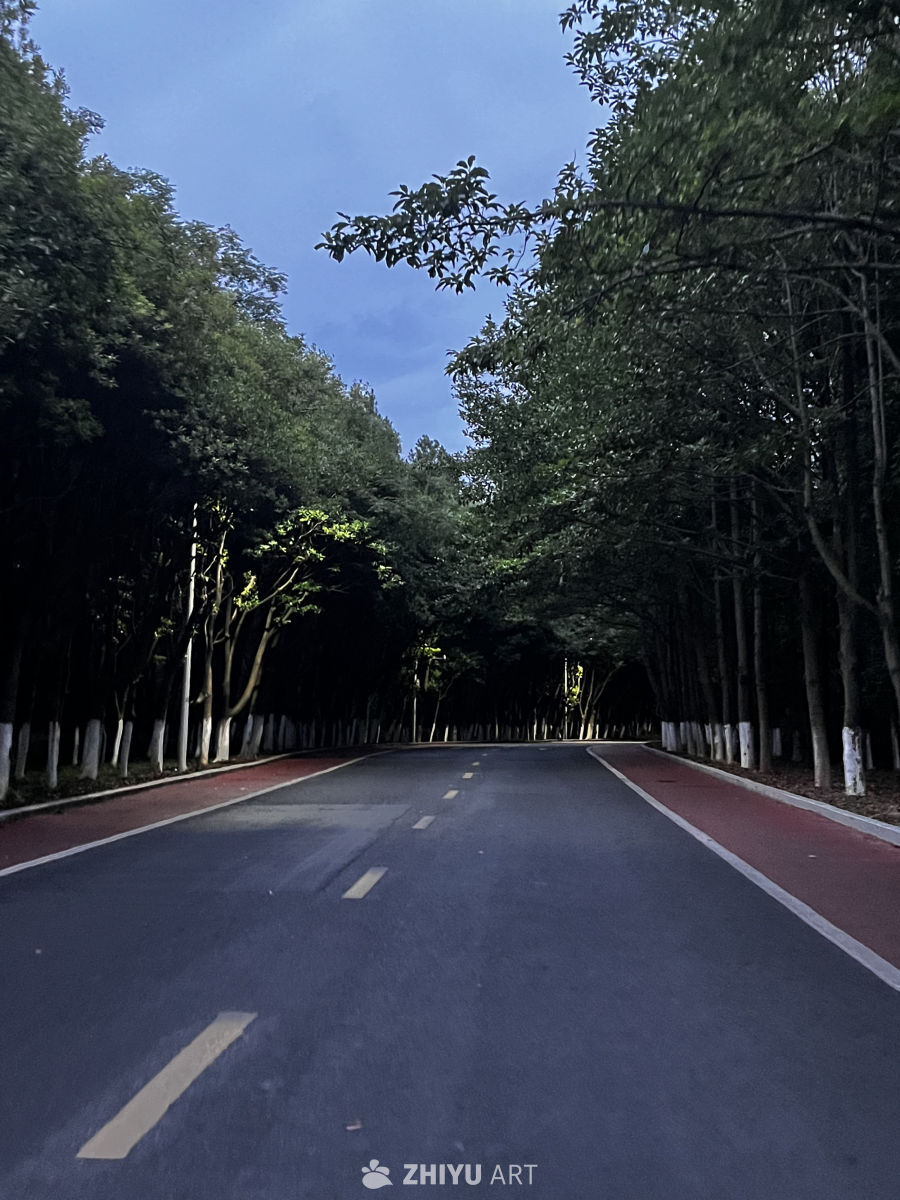 夜幕下的林间小道