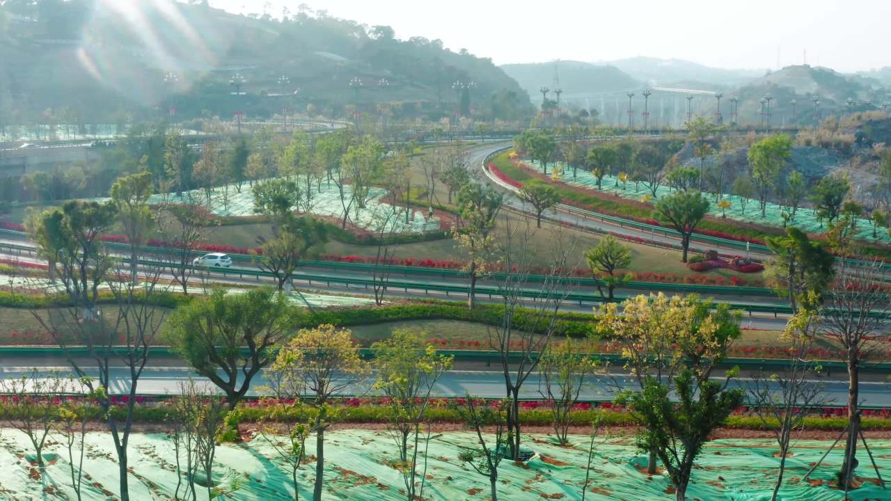 清晨阳光下的高速公路