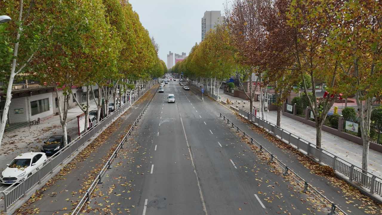 秋日城市街道航拍