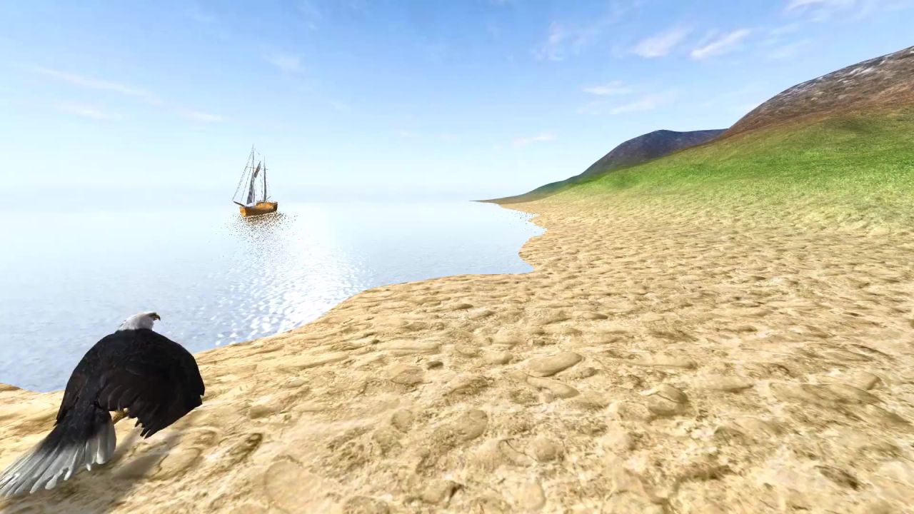 景观海鸟自然海滩