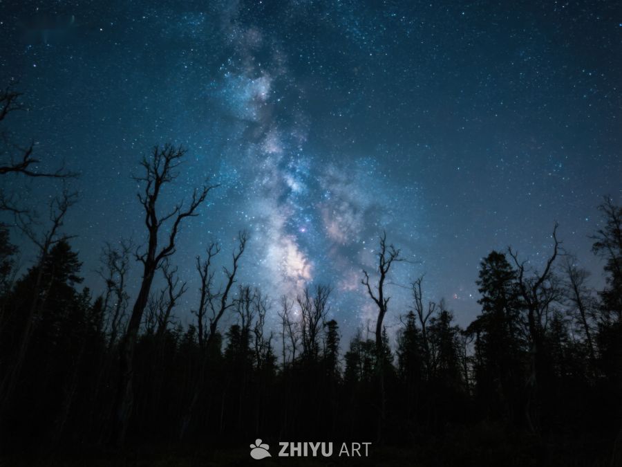 夜空银河与枯树剪影 443