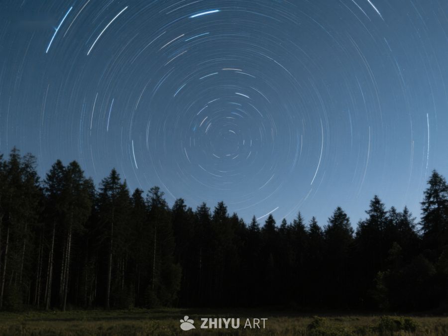 森林上空的星轨旋转 65
