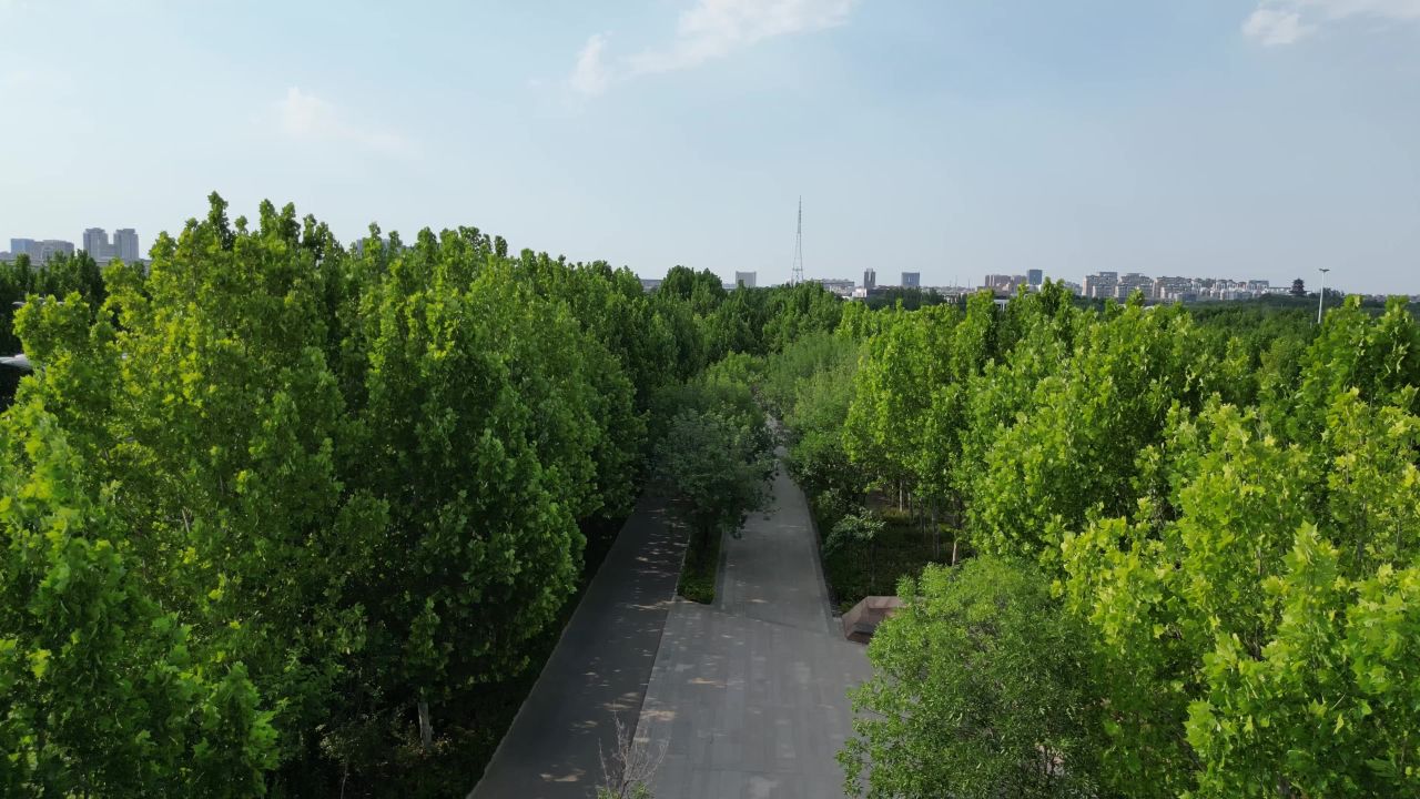 山东东营城市风光航拍