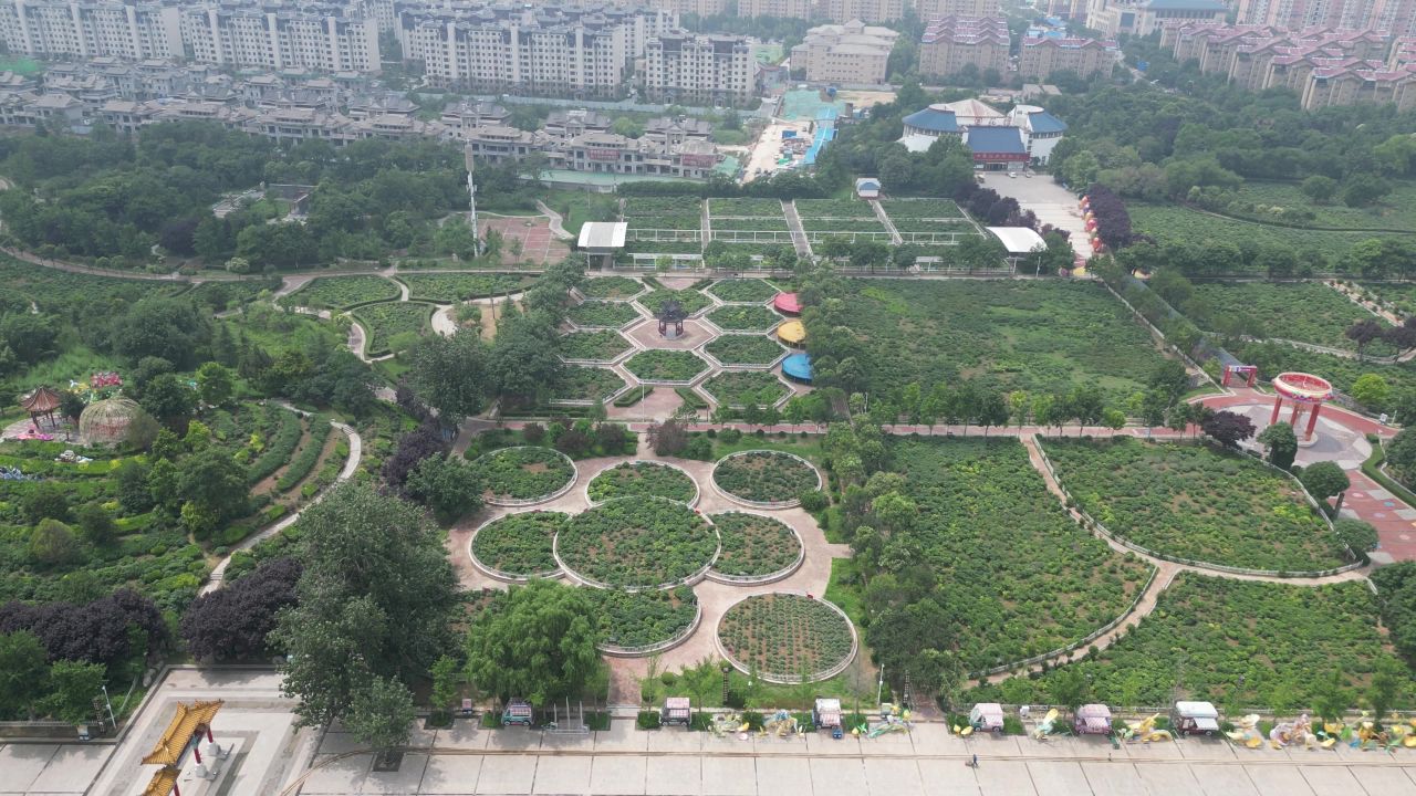  航拍山东菏泽曹州牡丹园4a景区