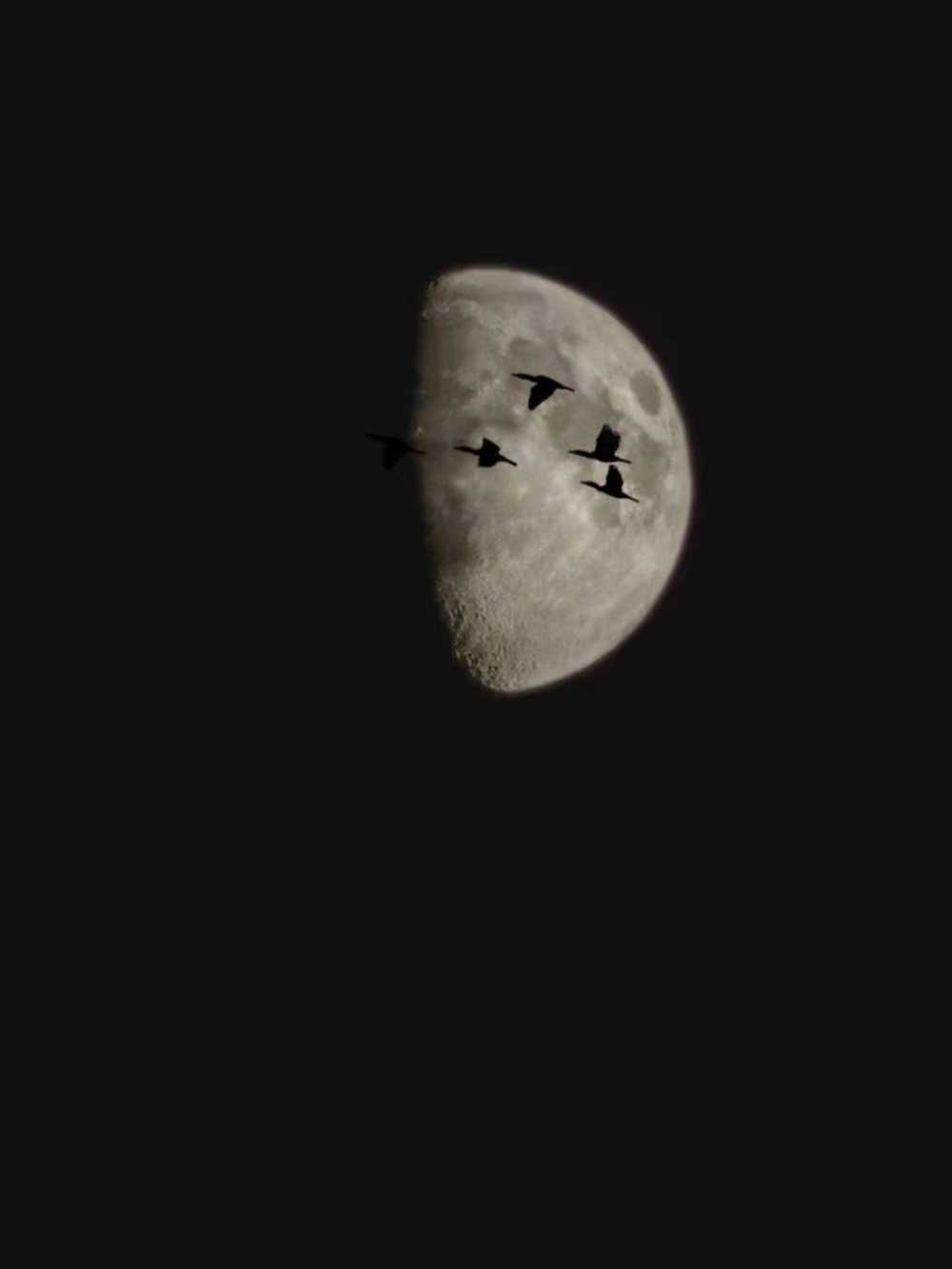 明月