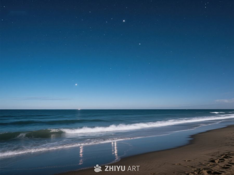 夜空下的宁静海滩 311