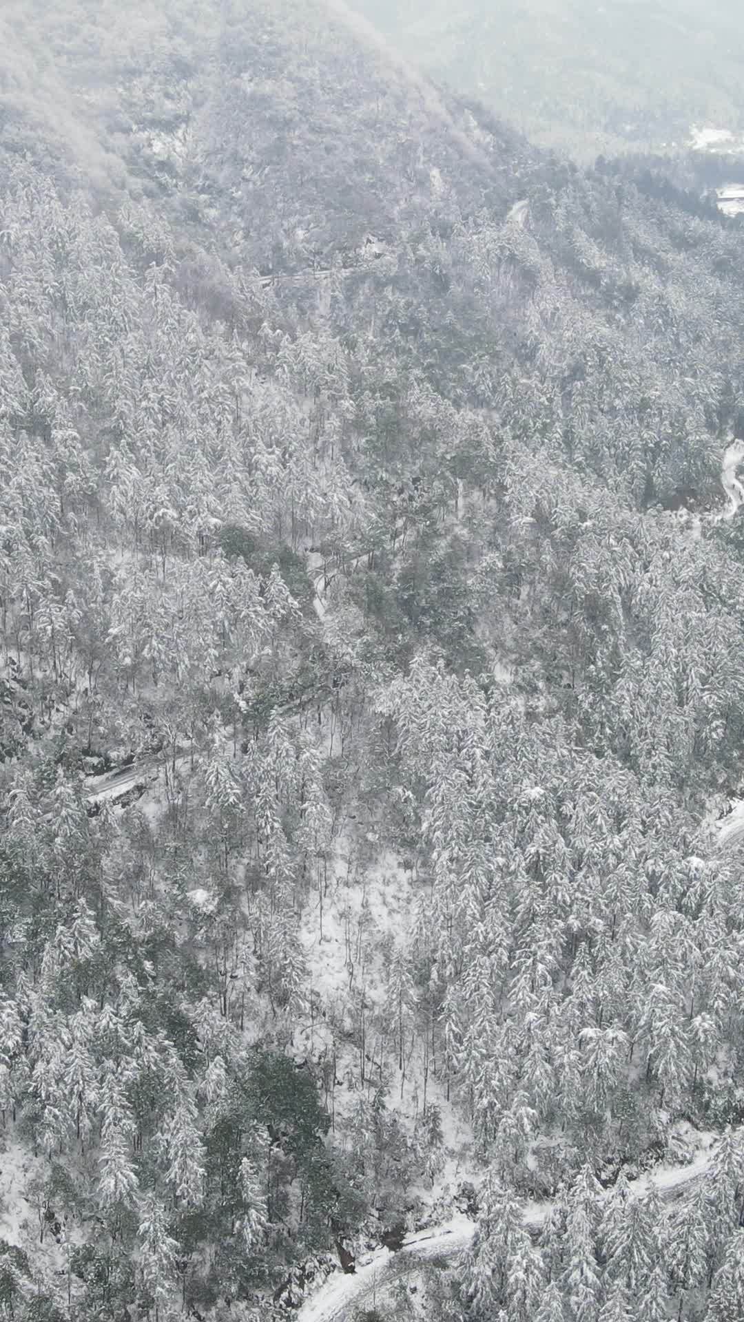 雪覆山林