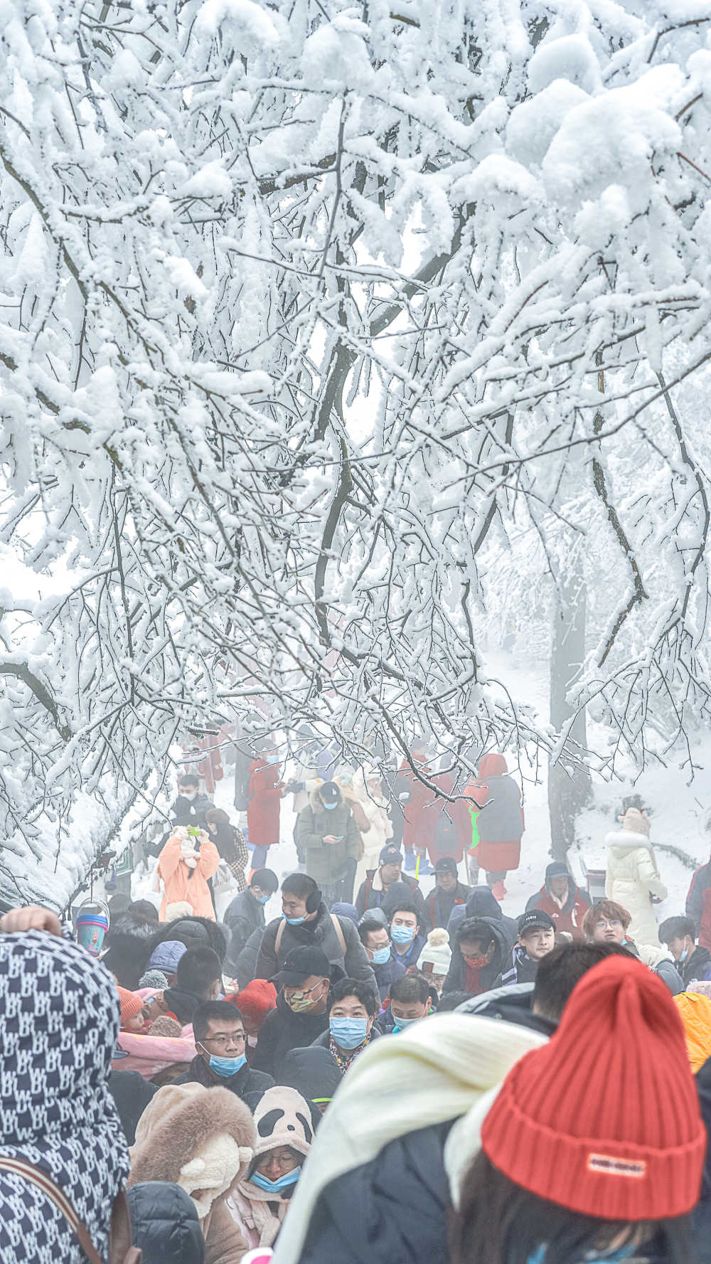 峨眉山雪