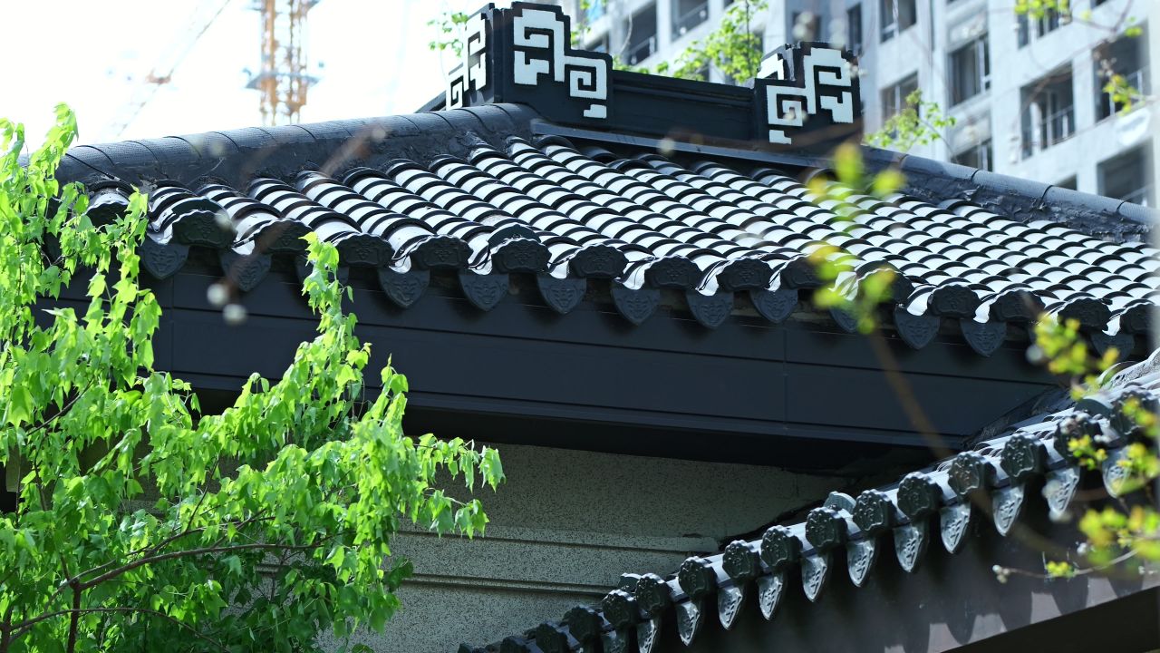 枫叶空镜头，小区春天空镜头 11