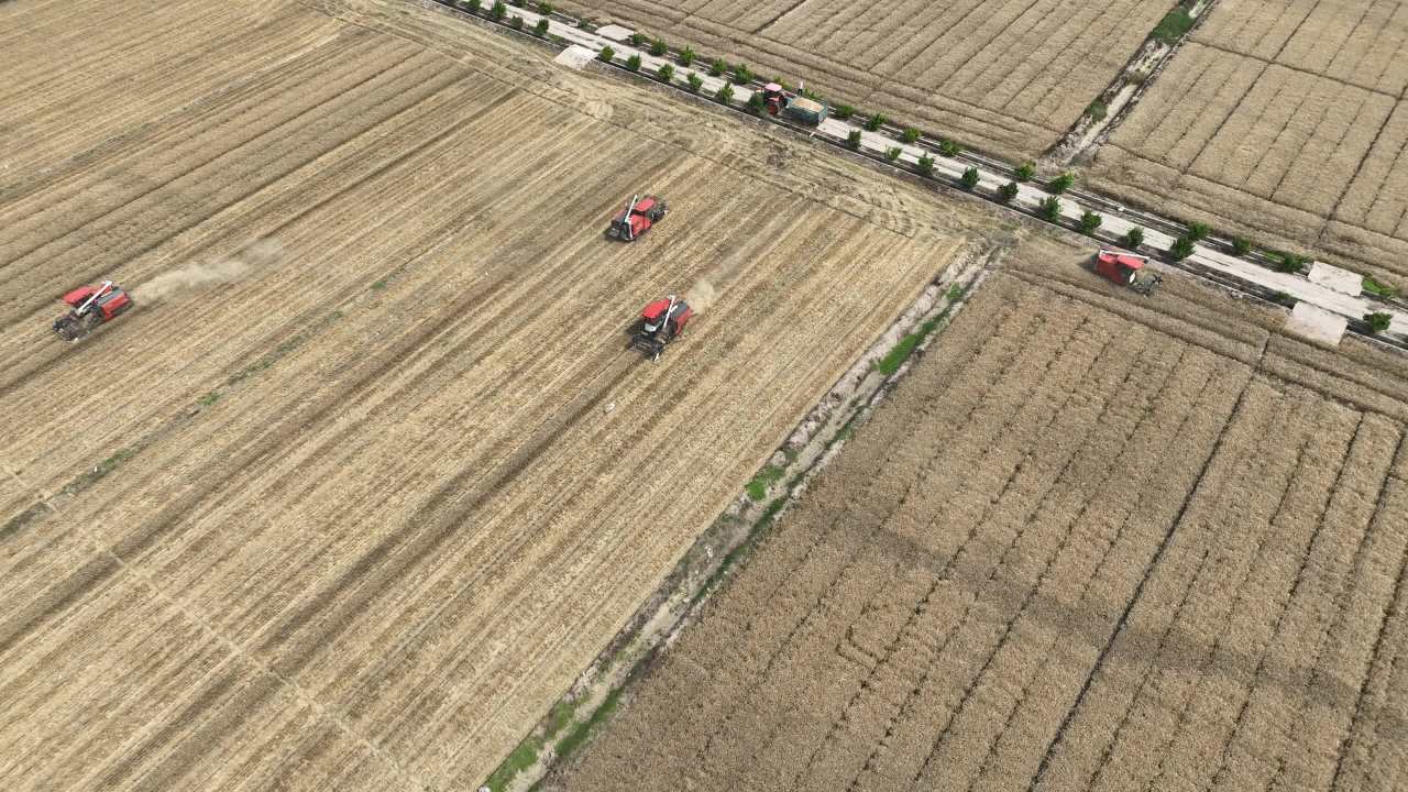 航拍夏收农忙时节 10